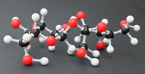 Kugel- und Stäbchenmodell eines Saccharose-Moleküls