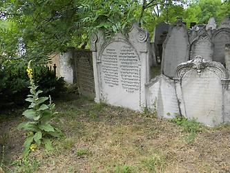 Jüdischer Friedhof Nikolsburg