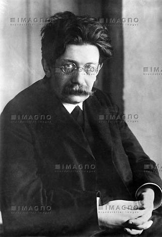 Viktor Adler, Photographie. Um 1910