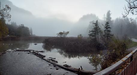 Hinter dem Ausfluss versteckt sich der Leopoldsteiner See im Morgennebel