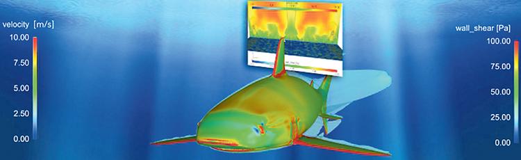 Bionic Surface entwickelt besonders aerodynamische – der Haifischhaut nachempfundene – Oberflächen