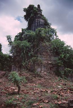 Überwachsener Stupa.