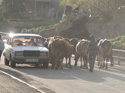 Ladas und Kühe prägen das ländliche Armenien.