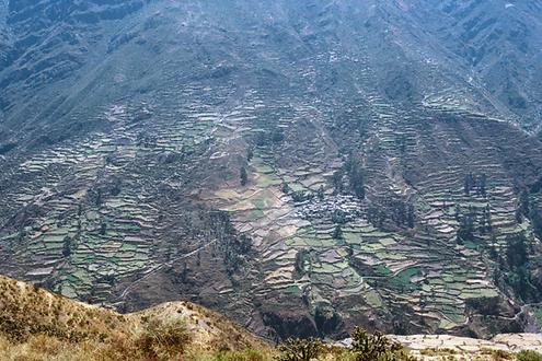 Terraced fields and a village on the opposite slope