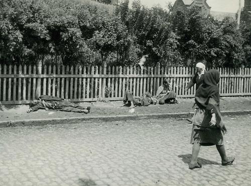 Leichen verhungerter Bauern auf einer Straße in Charkiw (1933). Das Foto von Alexander Wienerberger war Teil einer Dokumentation für den Wiener Erzbischof Theodor Innitzer.