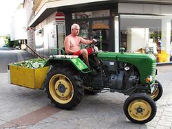 Frühe Steyr-Traktoren wie etwa der legendäre 'Fünfzehner' sind Sammelobjekt, bewähren sich aber auch in mancher Alltagsarbeit (Foto: Martin Krusche)