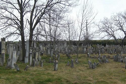 Blick auf den jüdischen Friedhof Lackenbach