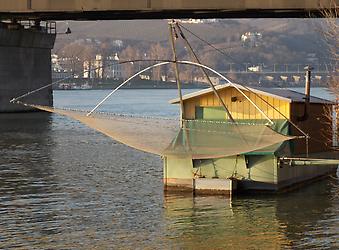 Daubel an der Donauinsel