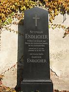 Stephan Endlicher, Ehrengrab