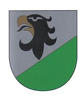 Wappen von Scheffau