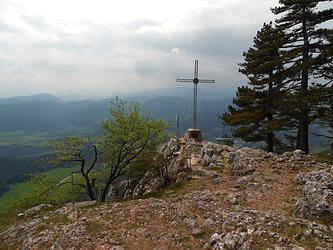 Blick zum Schneeberg