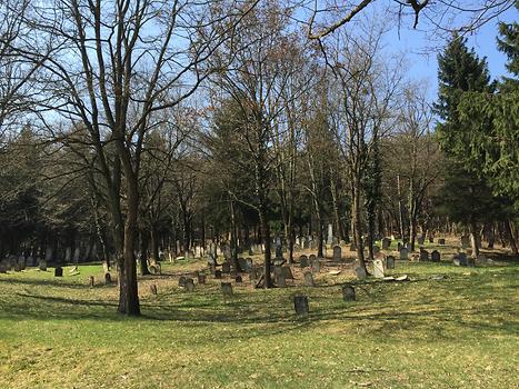Jüdischer Friedhof Kobersdorf