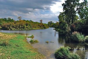 Lobau