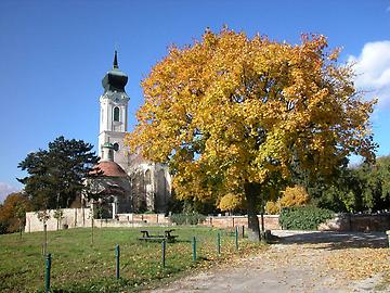 Stadtpfarrkirche