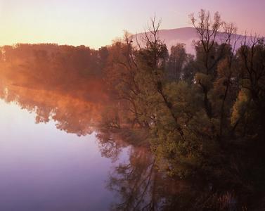 Nationalpark Donau Auen