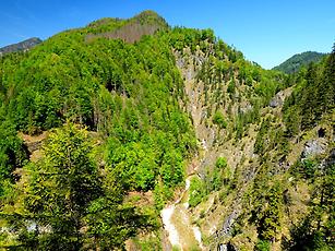 Es wird Frühling im Reichraminger Hintergebirge.