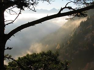 Herbstnebel zieht den Berghang im östlichen Sengsengebirge herauf.