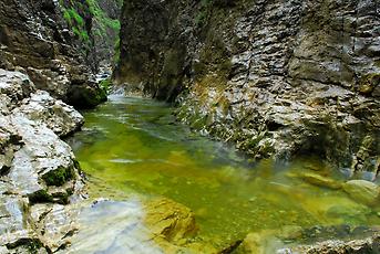 Haselschlucht. Millionen Jahre formte Wasser das Kalkgestein, wilde Schluchten durchziehen das Reichraminger Hintergebirge.