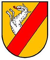 Wappen von Neumarkt am Wallersee