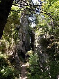 Felsen