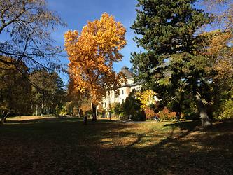 Herbst im Türkenschanzpark