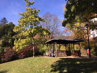 Herbst im Türkenschanzpark