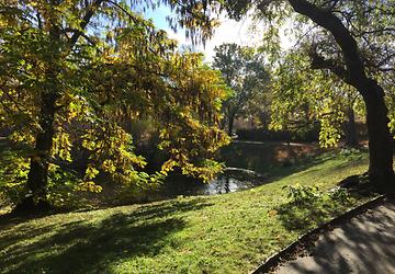 Herbst im Türkenschanzpark