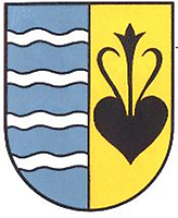 Wappen - Weyregg