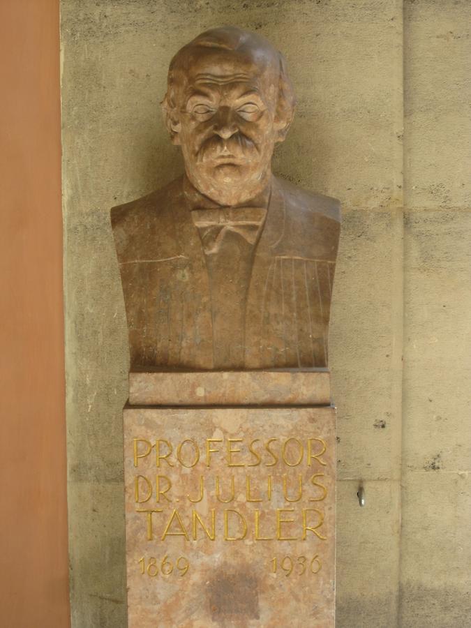 Julius Tandler Gedenkbüste