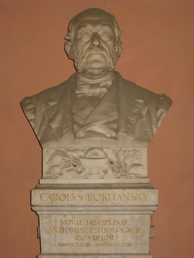 Karl Rokitansky Gedenkbüste