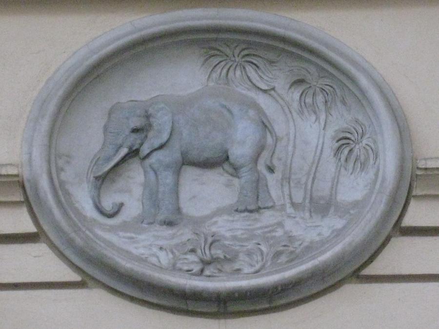 Relief 'Elefant'