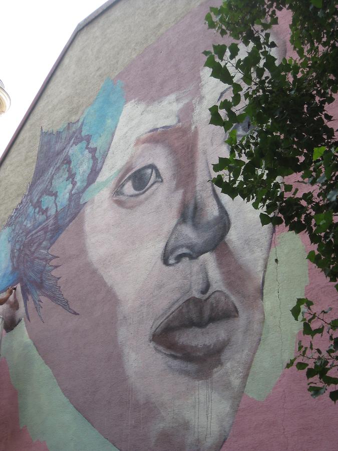 Street Art Graffito I Calle Libre 2016