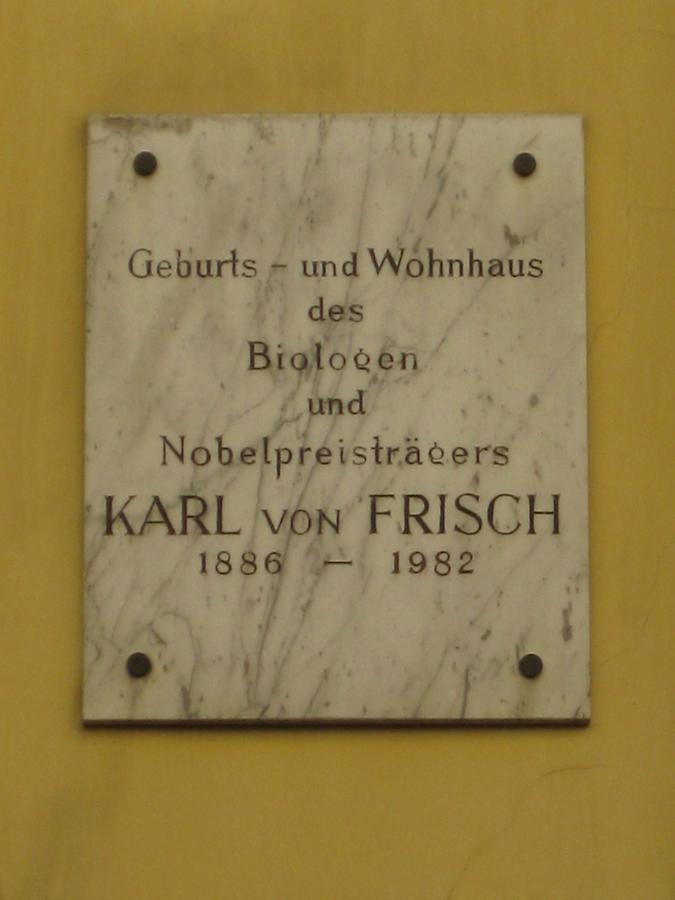 Karl von Frisch Gedenktafel