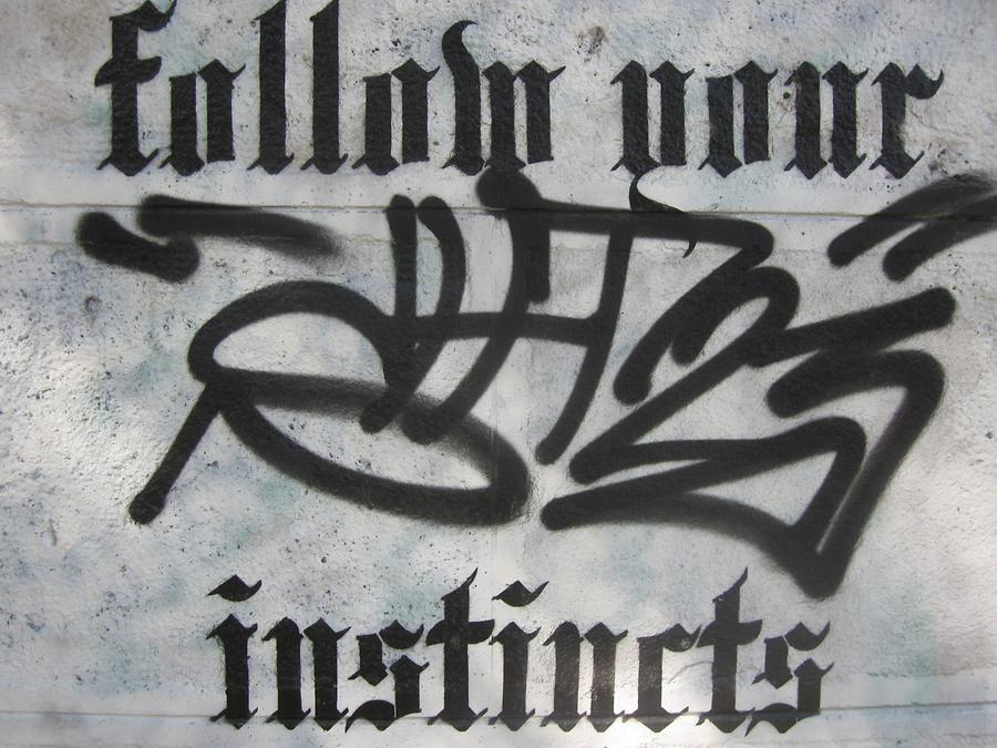 Graffito 'Follow your instincts'