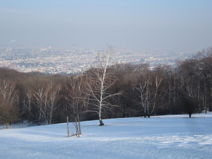 Wienblick im Winter