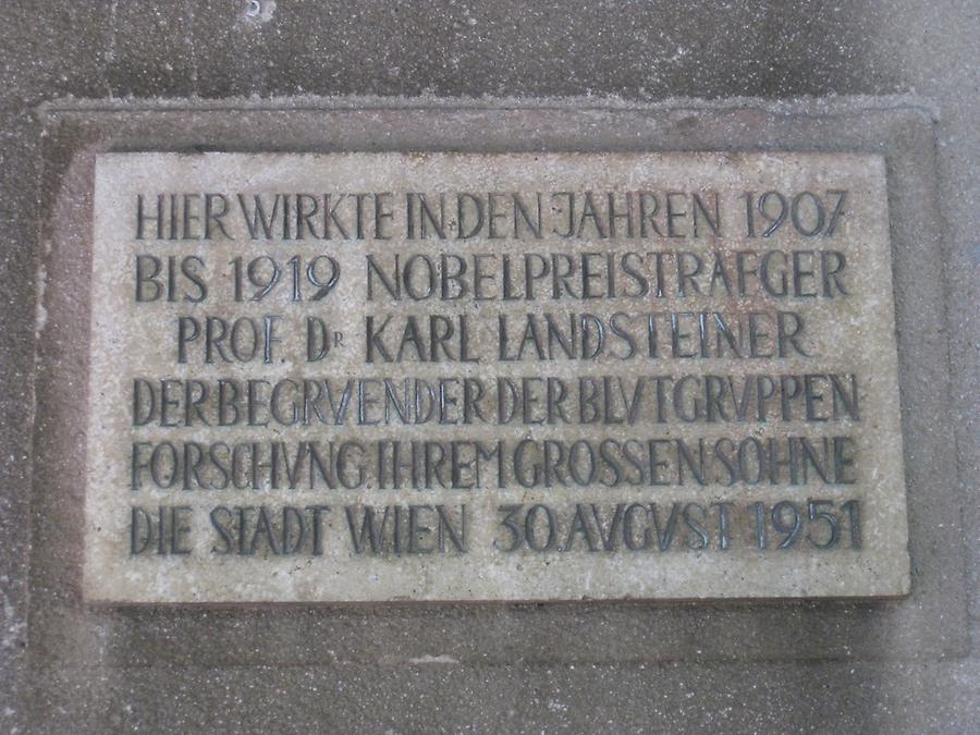 Karl Landsteiner Gedenktafel
