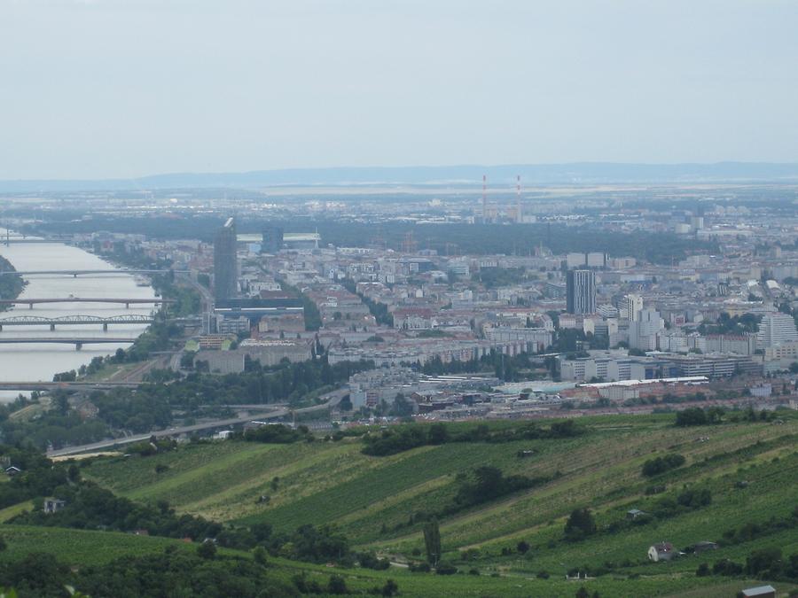 Blick auf Wien