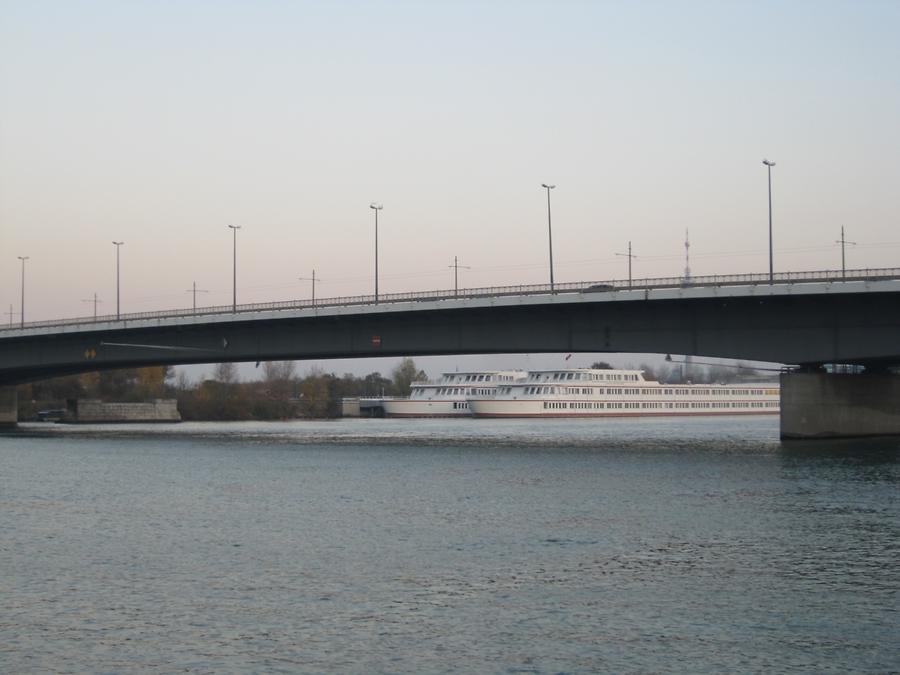 Floridsdorfer Brücke mit GRG 21 'Bertha von Suttner'-Schulschiff