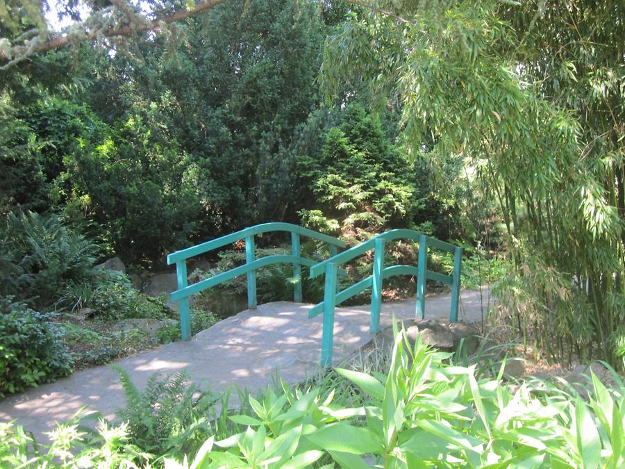 Claude Monet-Garten