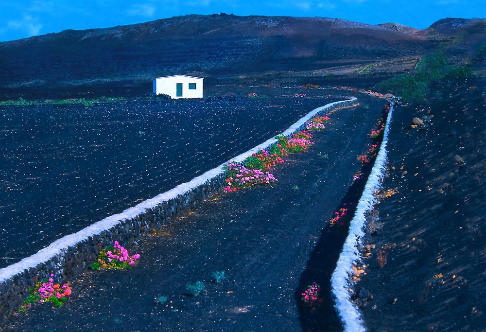 Lanzarote, Kanarische Inseln, Spanien