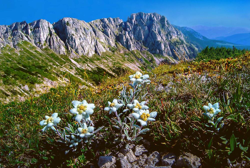 Hochschwabgebiet, Österreich