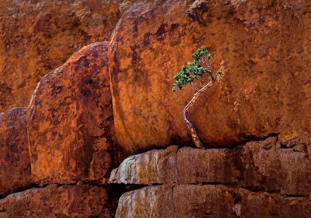 Namibia, Brandberg