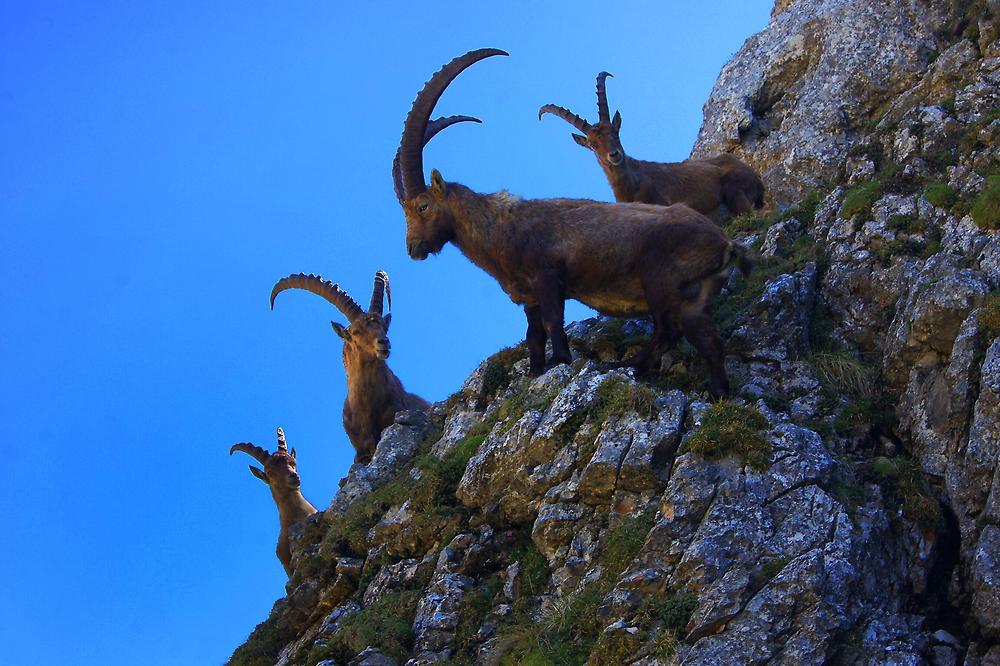 Hochschwabgebiet, Österreich