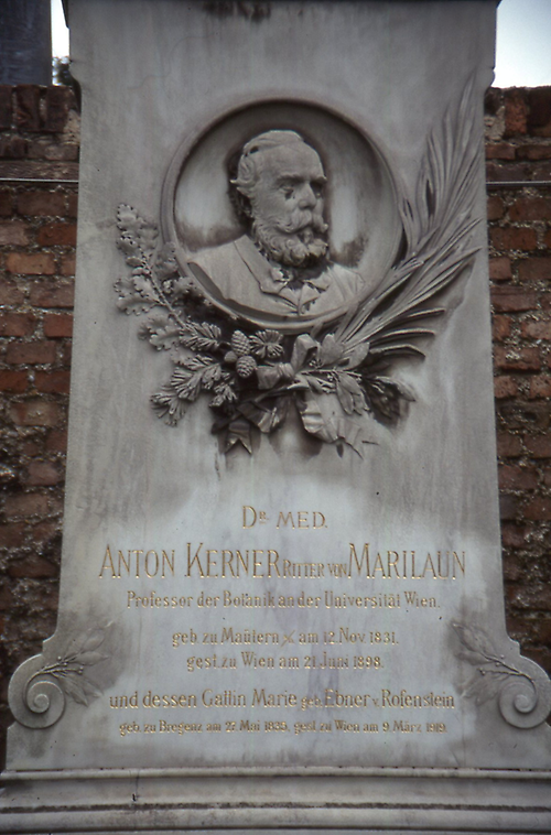 Anton Joseph Kerner von Marilaun