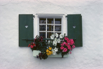 Fenster eines Bauernhauses in Abtenau, © IMAGNO/Franz Hubmann