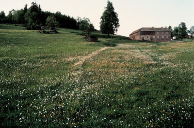 Dietrichsbach bei Altmelon, © IMAGNO/Franz Hubmann