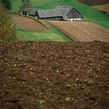 Einschichthof in Saggraben bei Bärnkopf