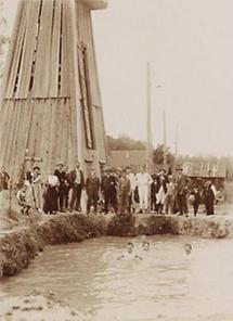 Badende im Freibadeteich der Schwefeltherme Schallerbach (1)