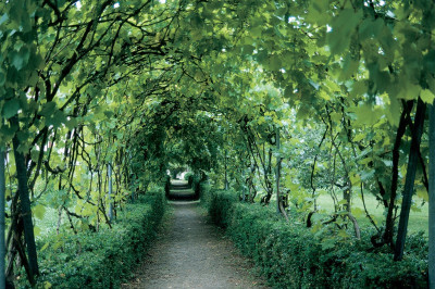 Garten des Redemptoristenklosters, © IMAGNO/Gerhard Trumler