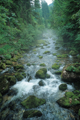 Der Piesslingbach bei Rossleithen, © IMAGNO/Gerhard Trumler